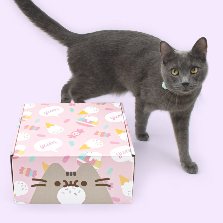 Senior Cats Gift Box