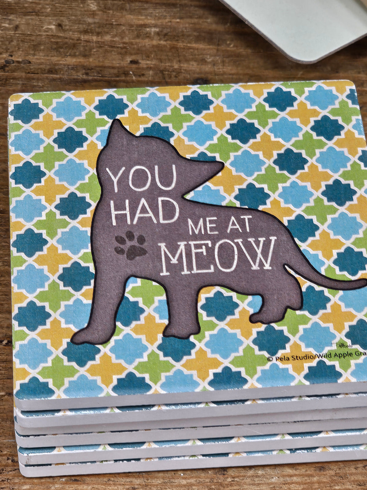 You Had Me at Meow Cat Coaster Set