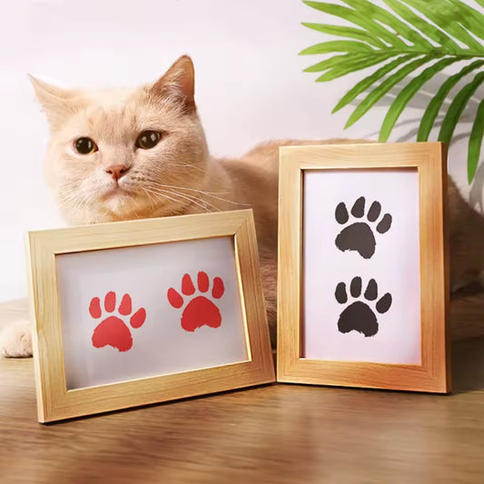 Cat Paw Print Keepsake Kit