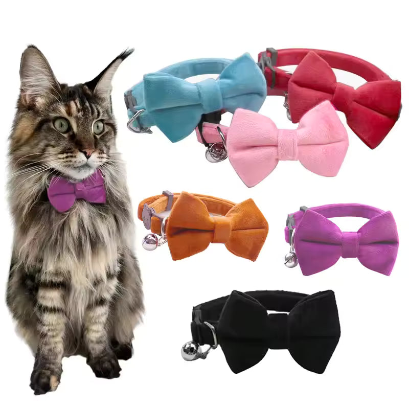 Cat Bow Tie Collar Set