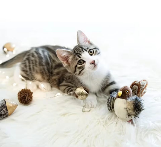 Interactive Chirping Flapping Bird Cat Toy