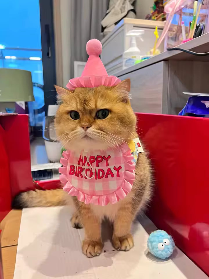 Cat Birthday Hat & Party Set