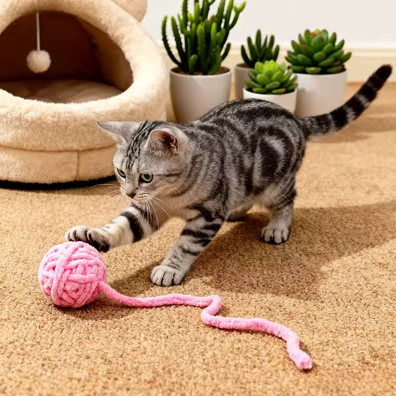 Cat Crinkle Plush Ball with Bell