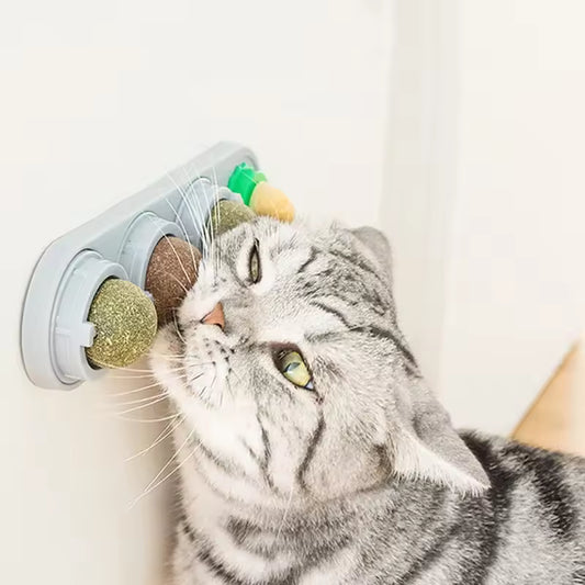 Rotating Wall-Mount Catnip Ball